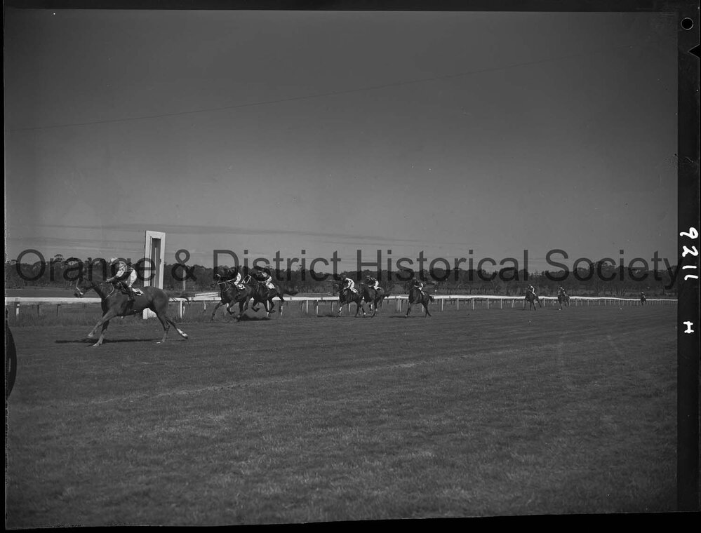 Horse races