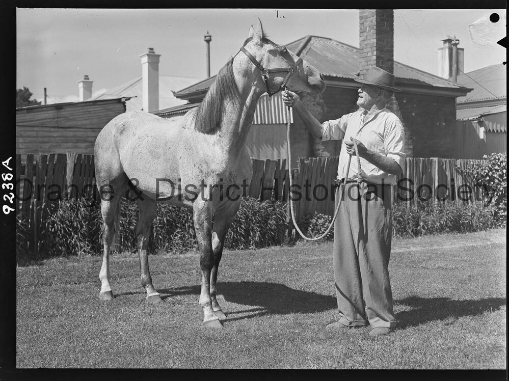 Racehorse Persian Puzzle