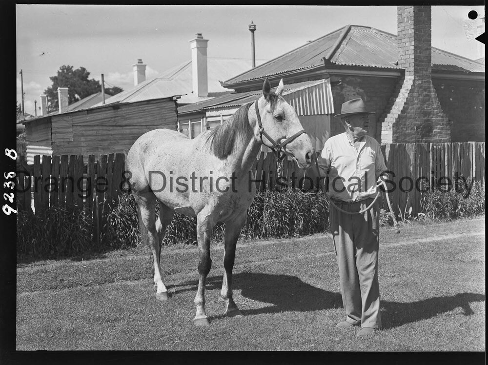 Racehorse Persian Puzzle