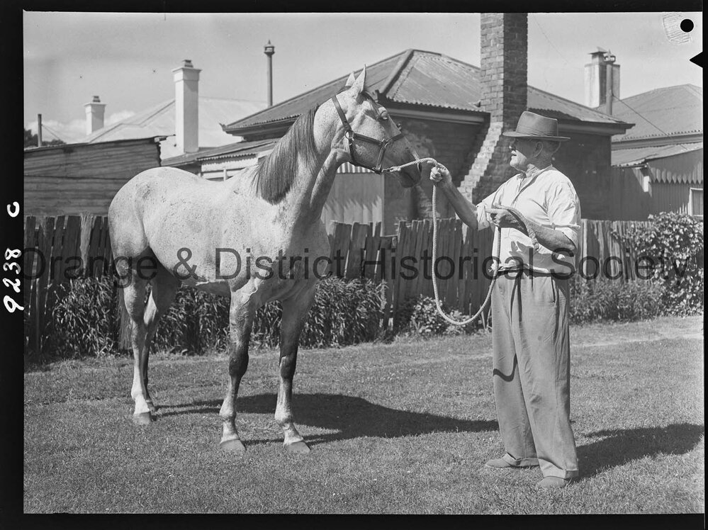 Racehorse Persian Puzzle