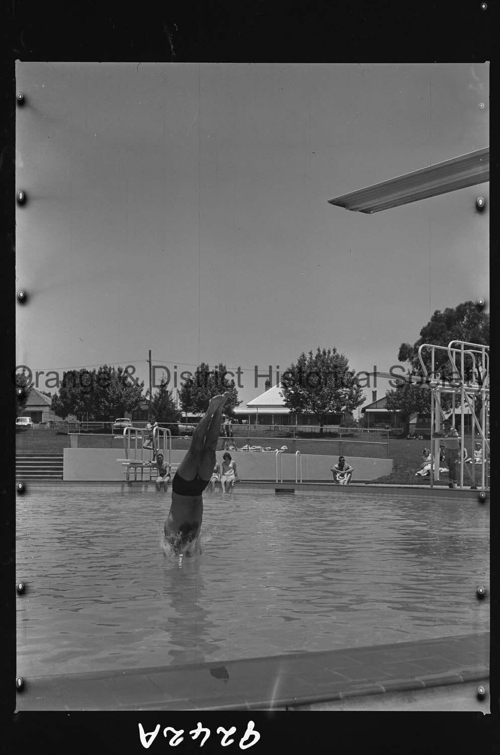 Swimming carnival