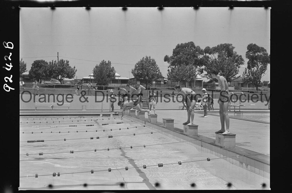 Swimming carnival