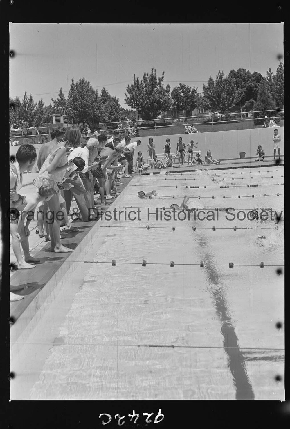 Swimming carnival