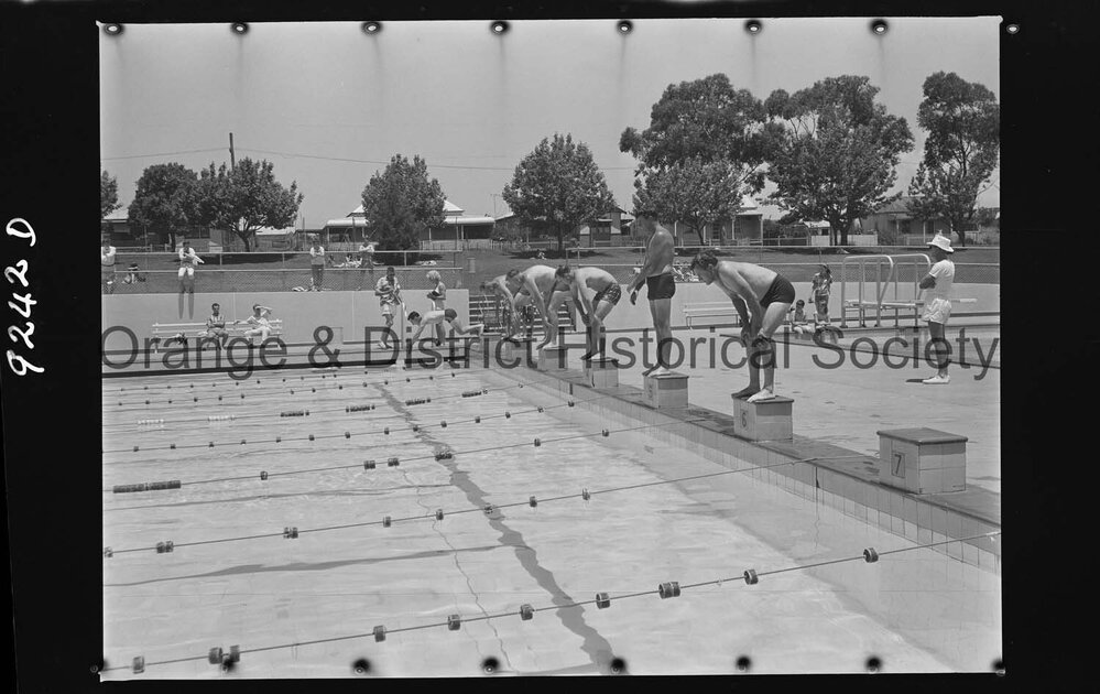 Swimming carnival