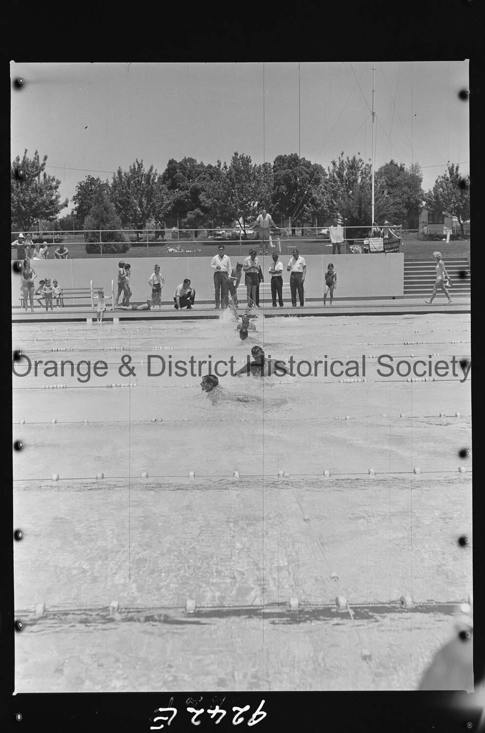 Swimming carnival