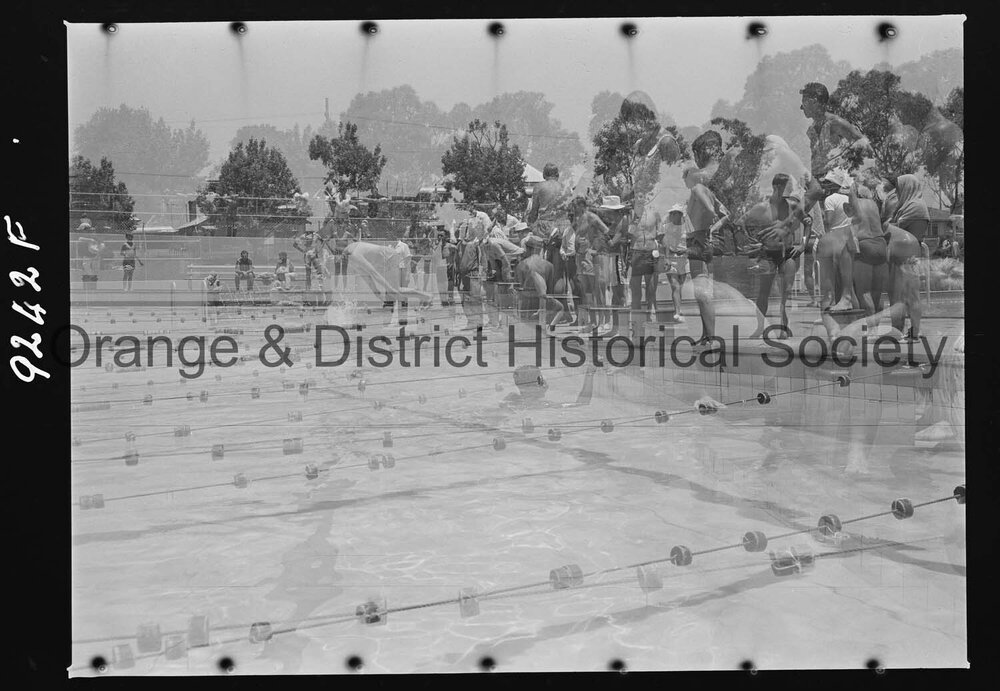 Swimming carnival