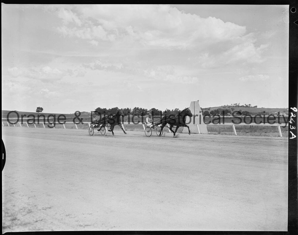 Trotting Club race finishes