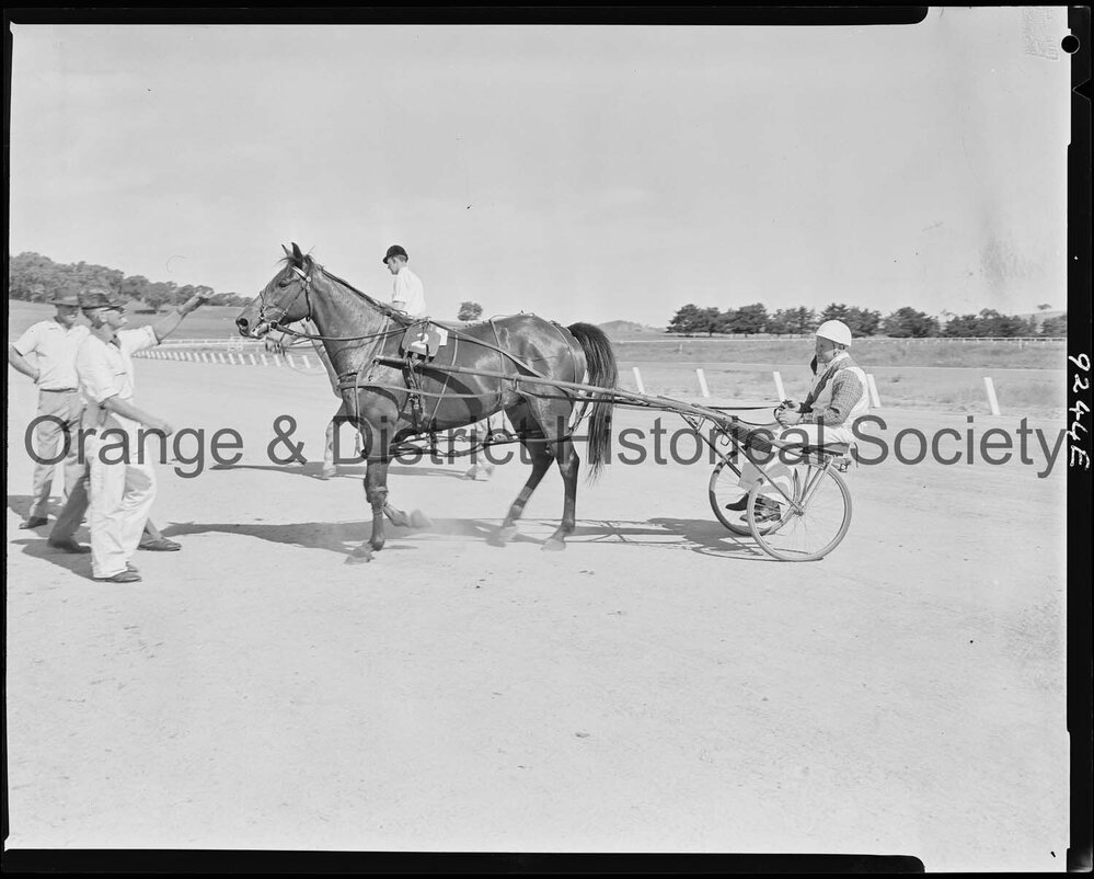 Trotting Club returning to scale