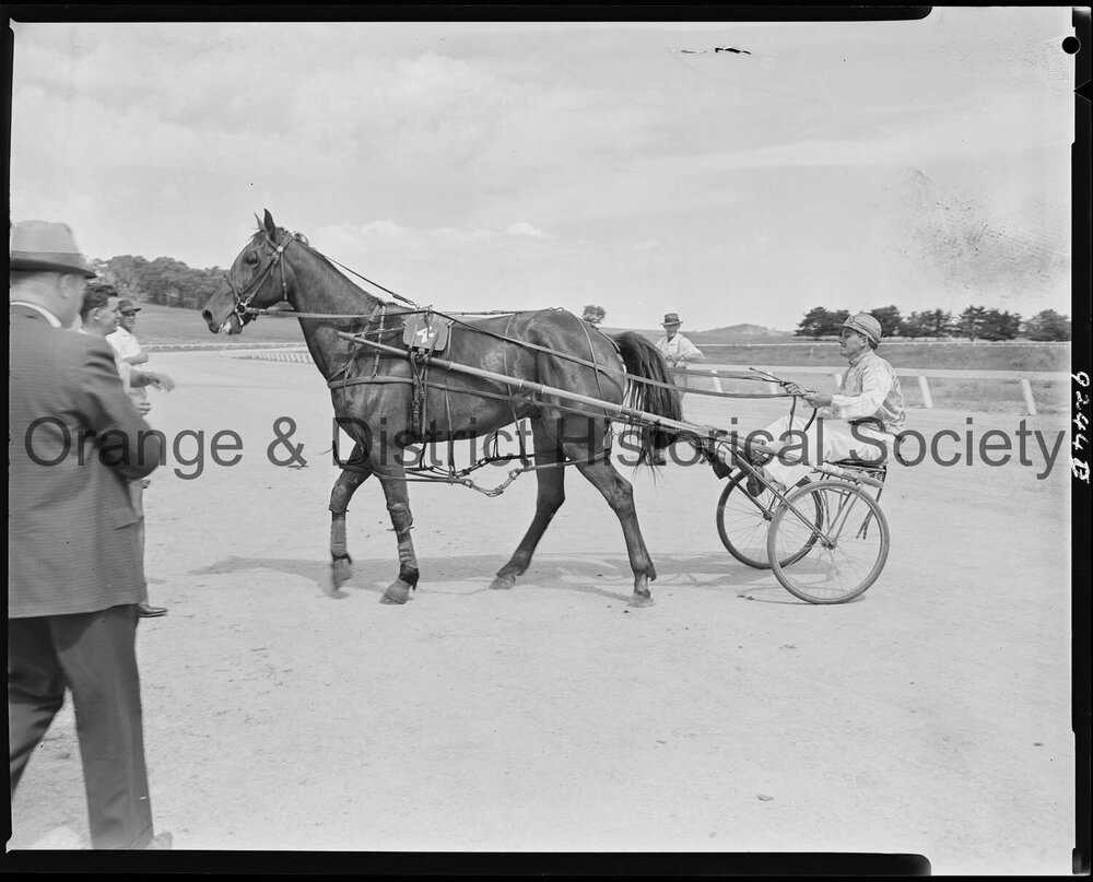Trotting Club returning to scale
