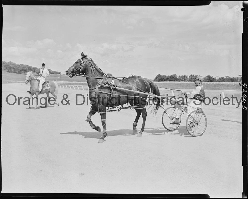 Trotting Club returning to scale