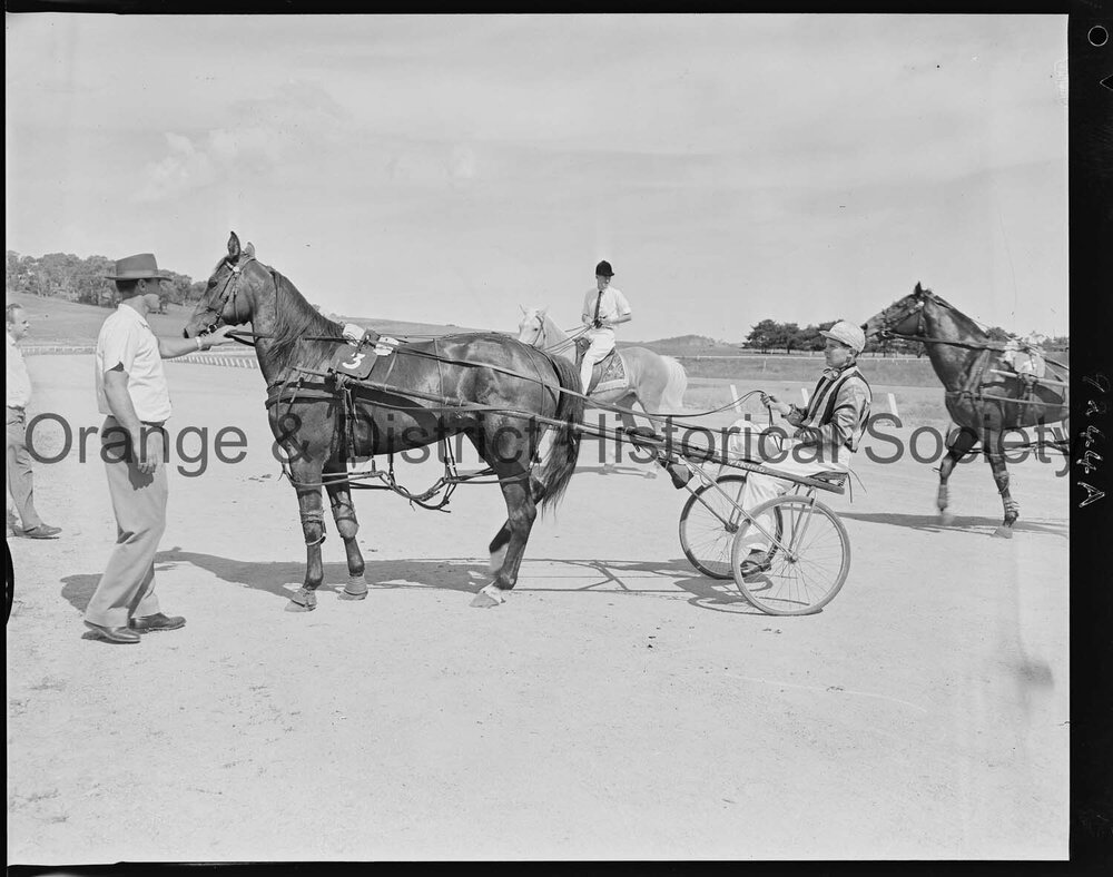 Trotting Club returning to scale
