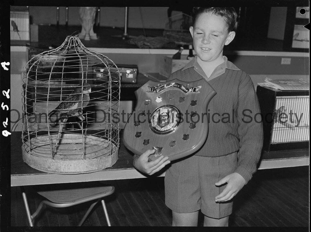 Caged birds show