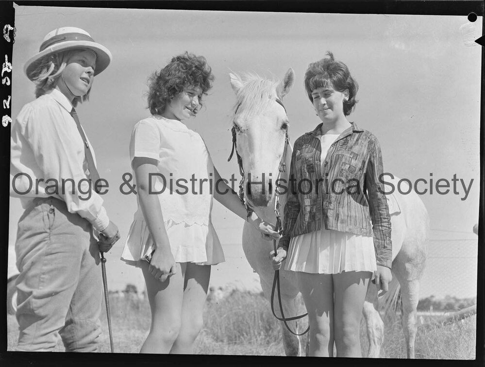 Orange Trotting Club gymkhana
