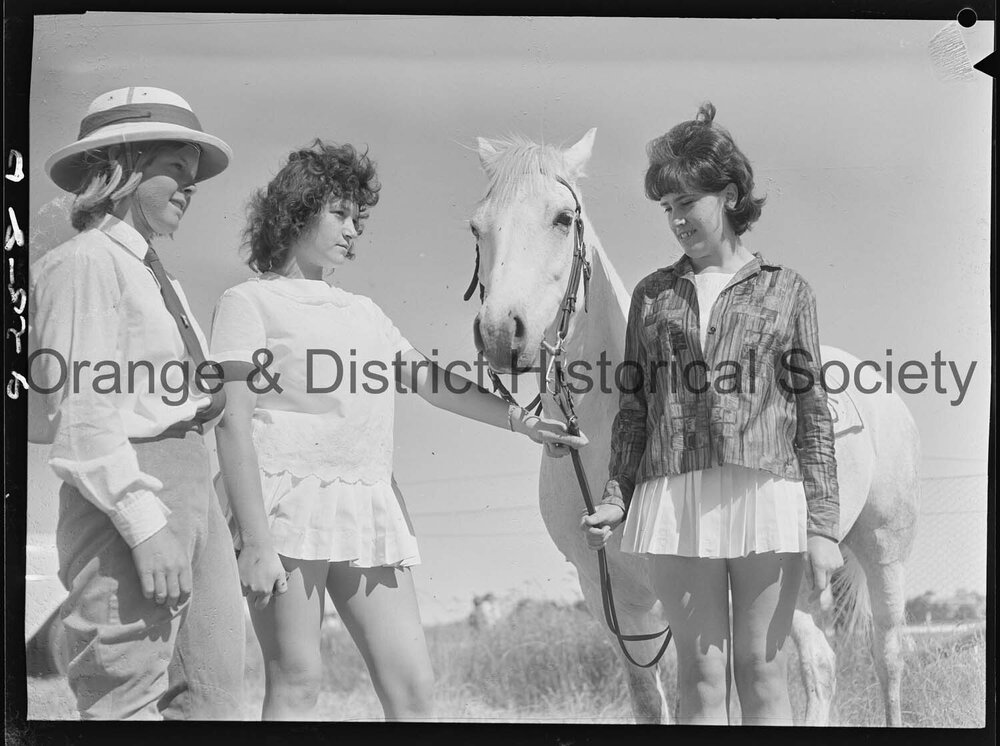 Orange Trotting Club gymkhana