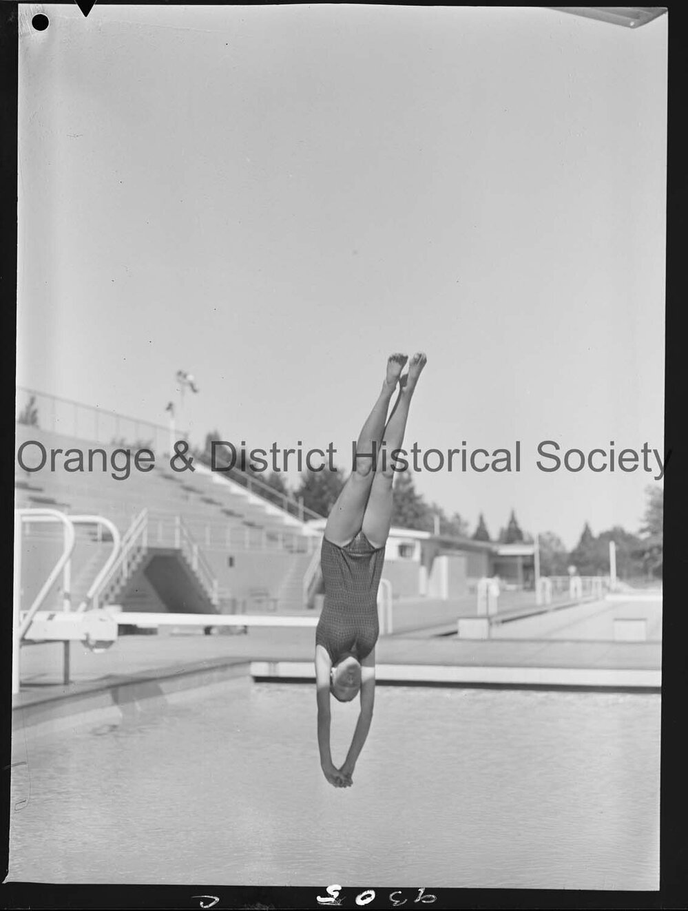 Diving