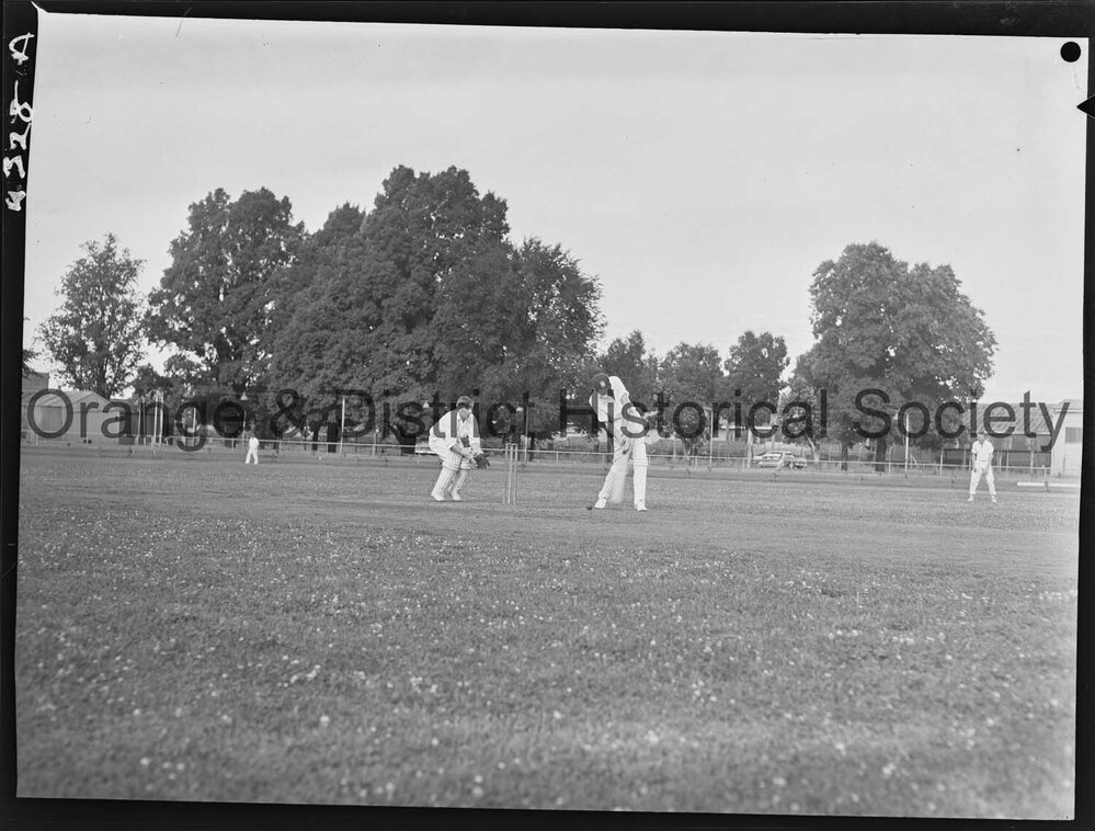 Cricket