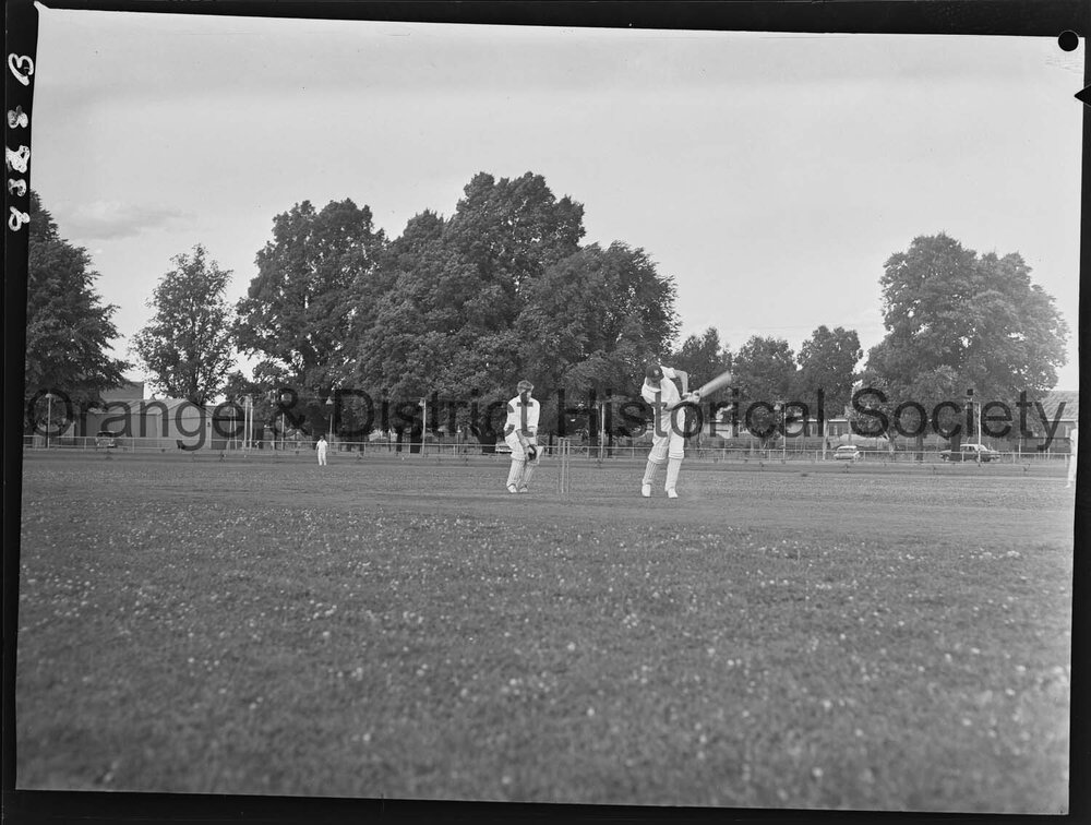 Cricket