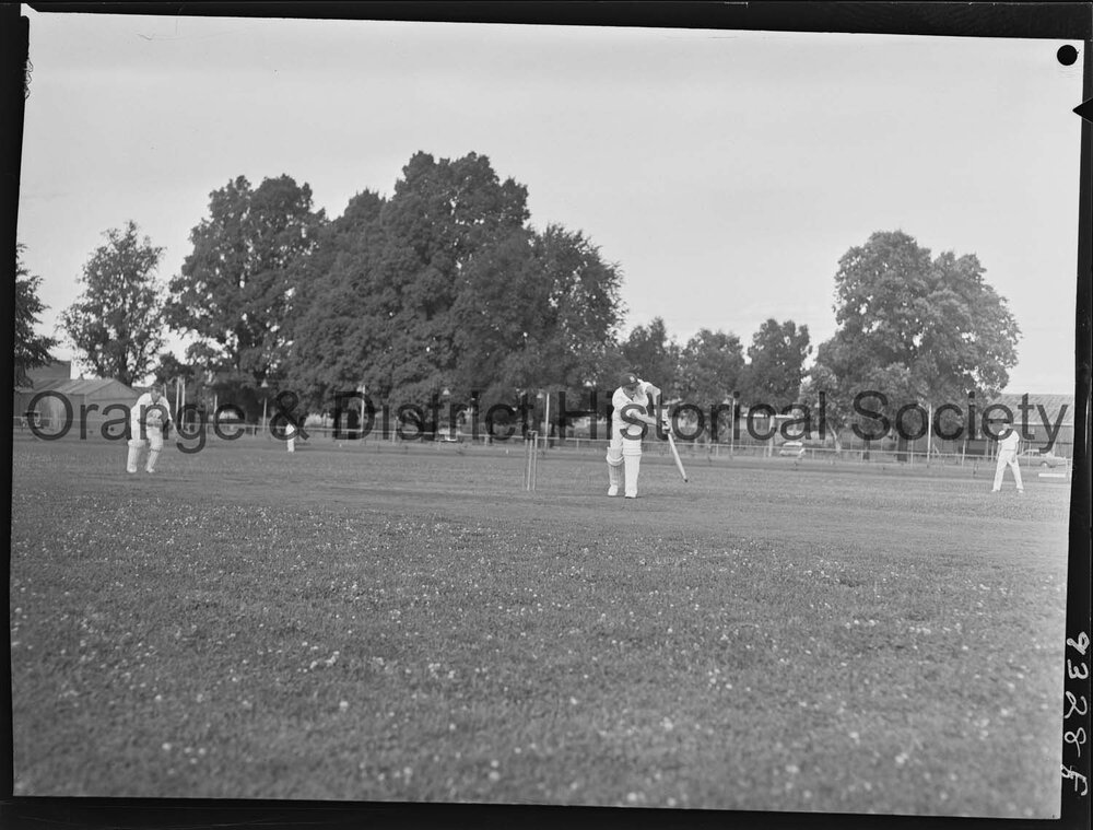 Cricket