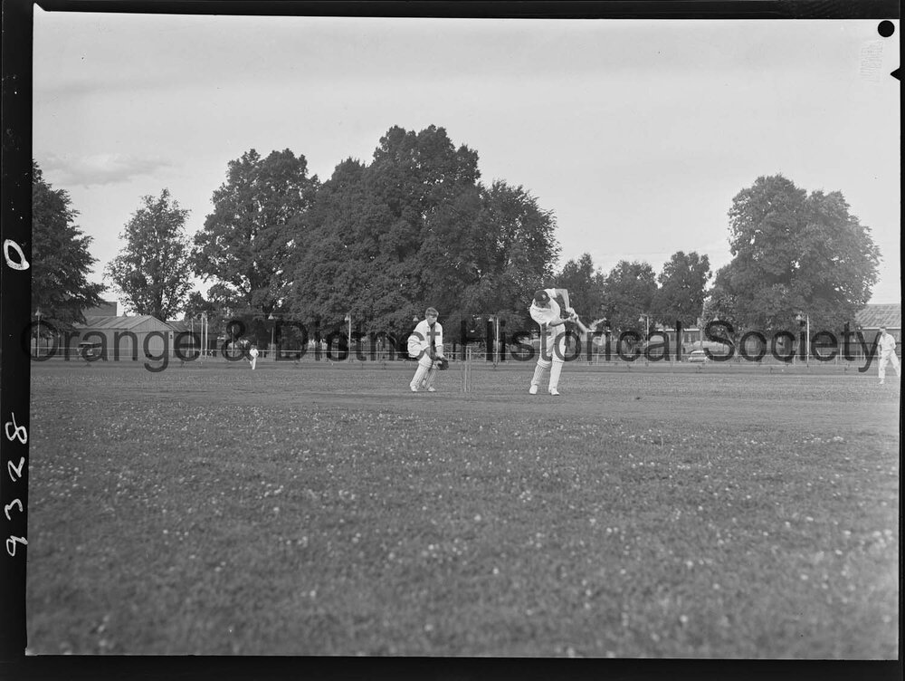 Cricket