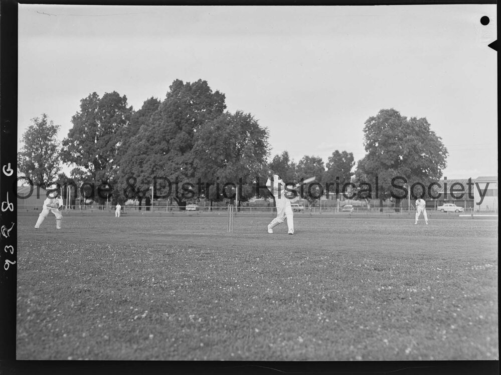 Cricket