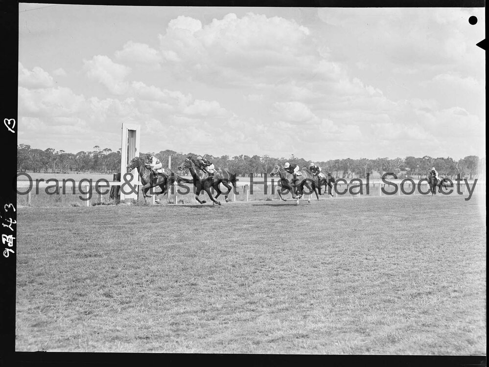New Year's Day race meeting