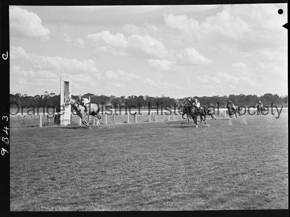 New Year's Day race meeting