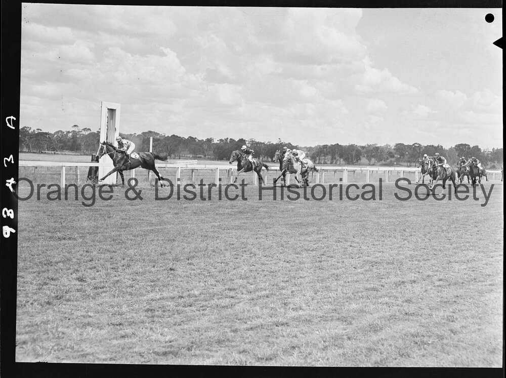 New Year's Day race meeting