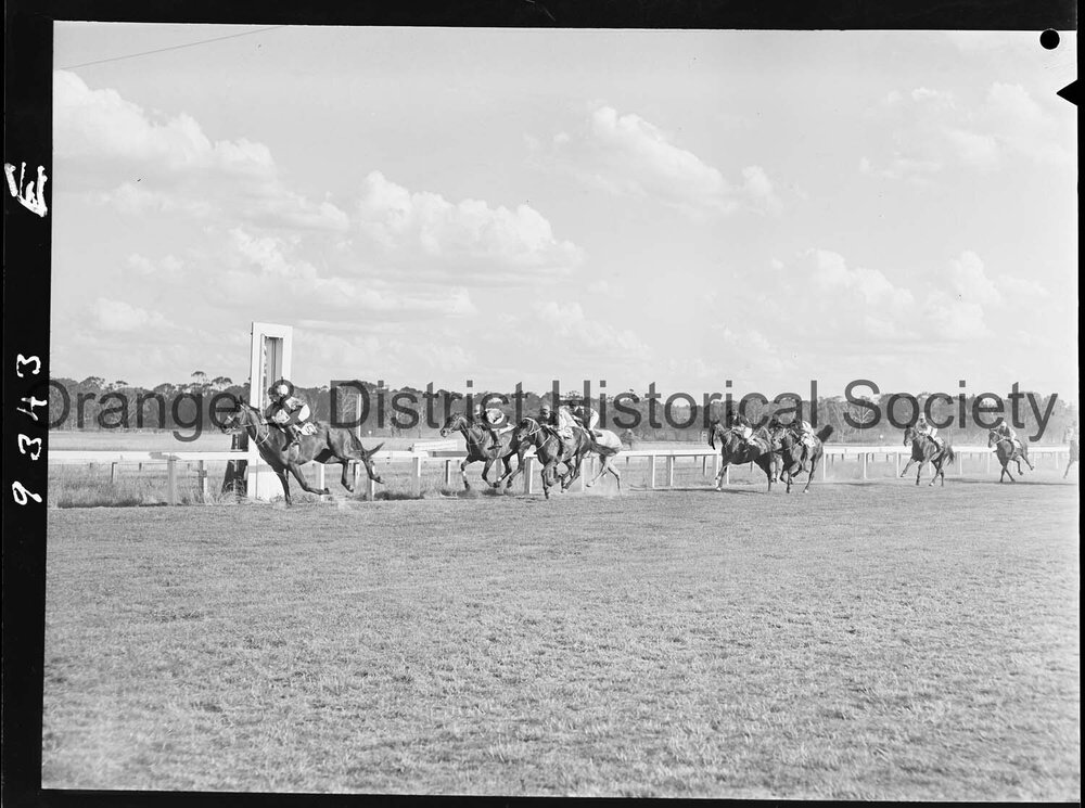 New Year's Day race meeting