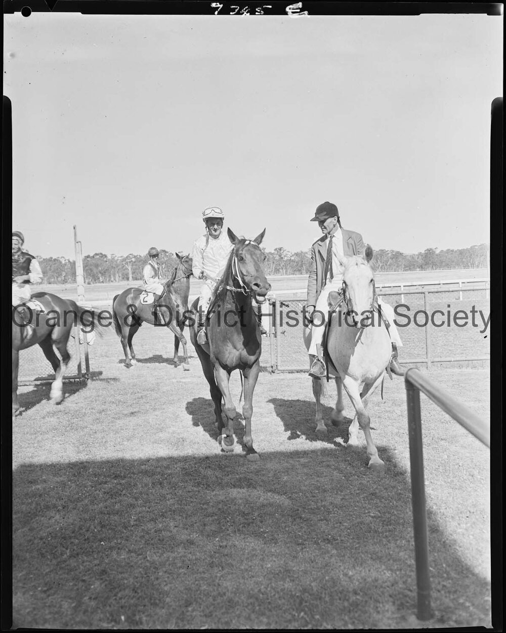 New Year's Day race meeting