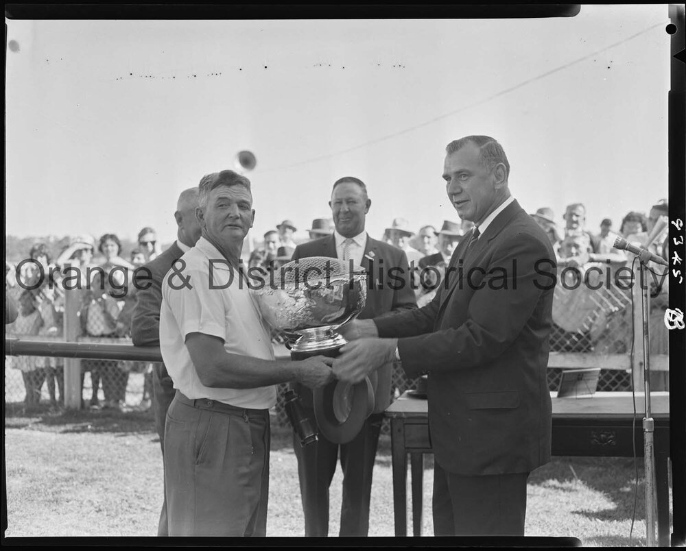 New Year's Day race meeting