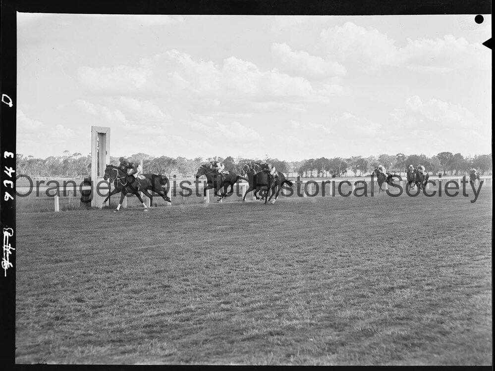 New Year's Day race meeting