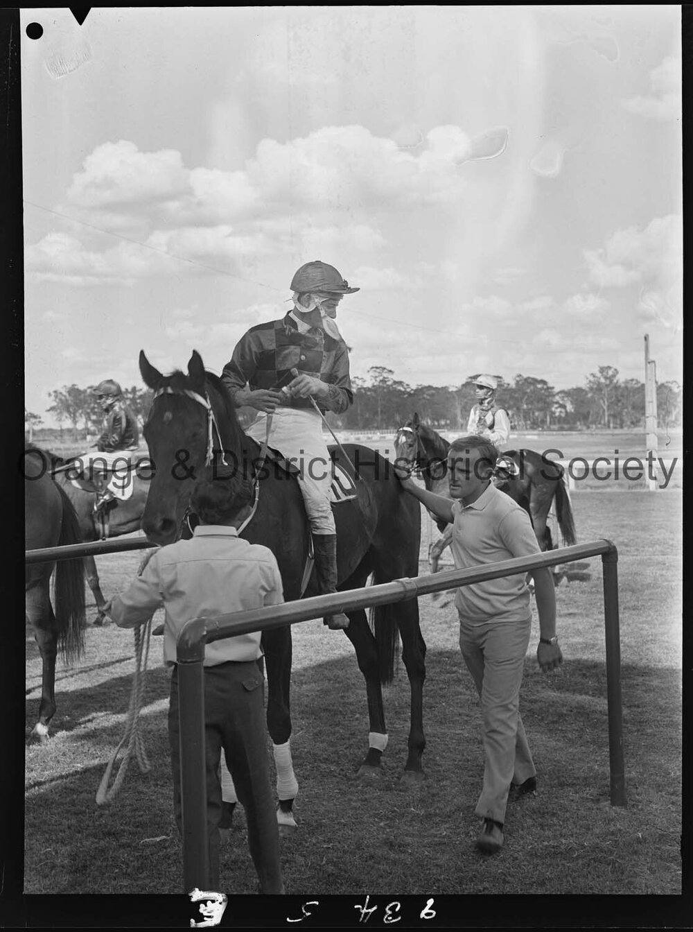 New Year's Day race meeting