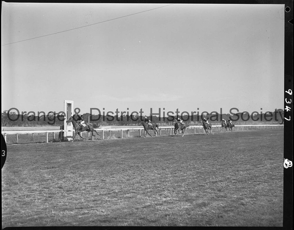 New Year's Day race meeting