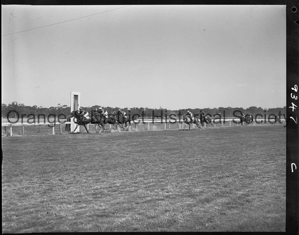 New Year's Day race meeting
