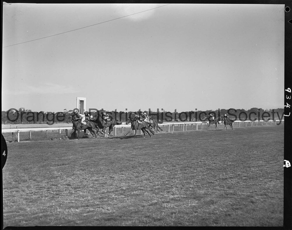 New Year's Day race meeting