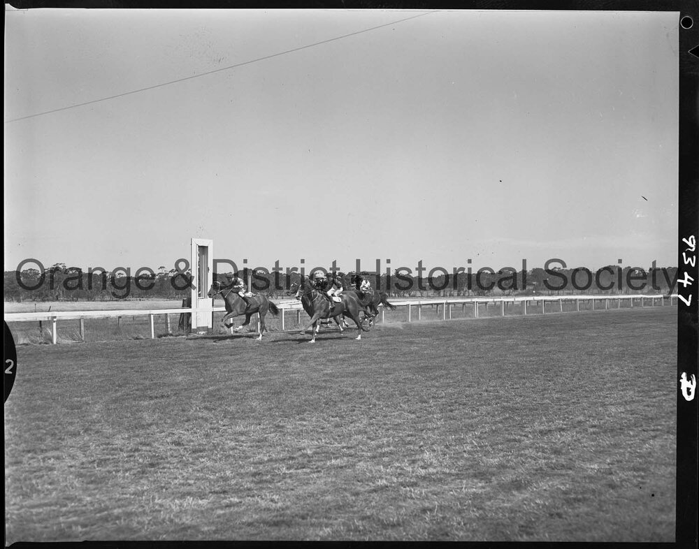 New Year's Day race meeting