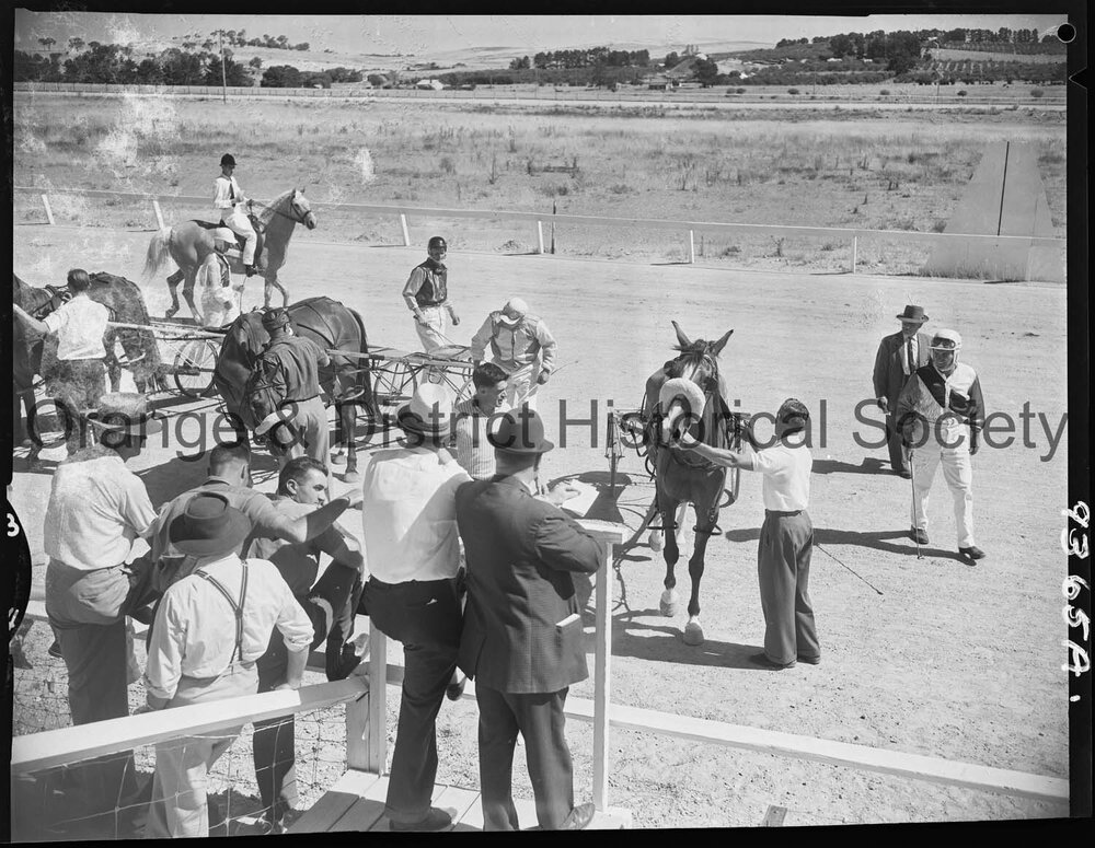 Trotting Club race finishes and returning to scale
