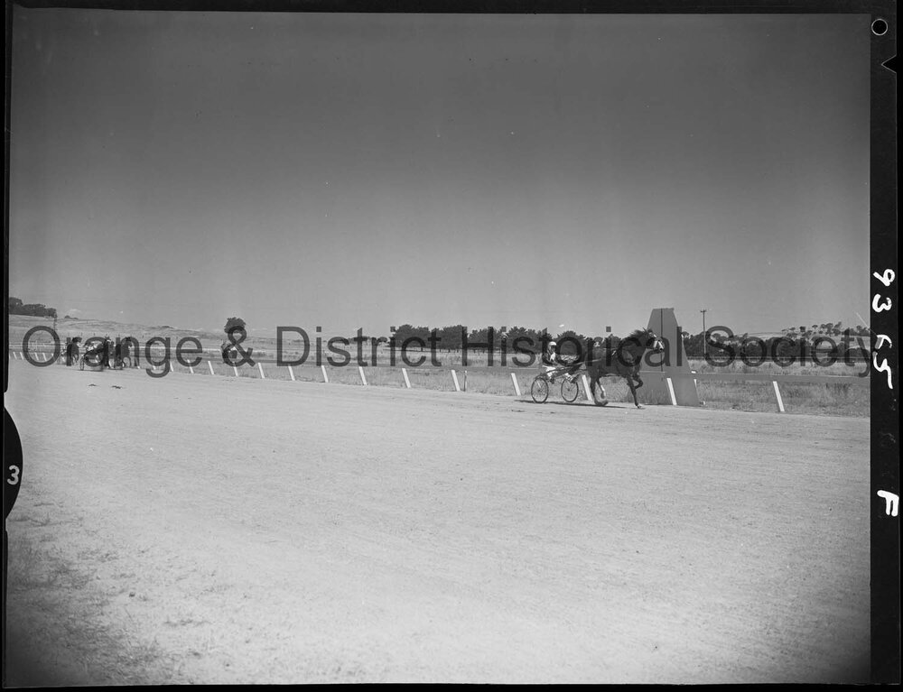 Trotting Club race finishes and returning to scale