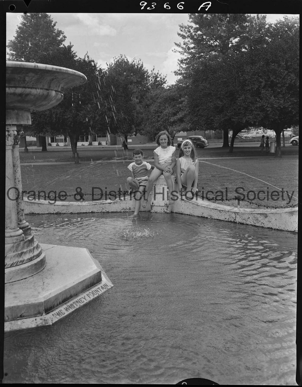 Fun in Robertson Park