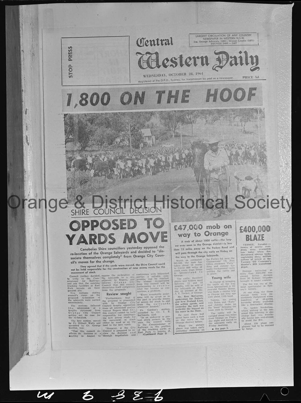 CWD 28 October 1964, p1