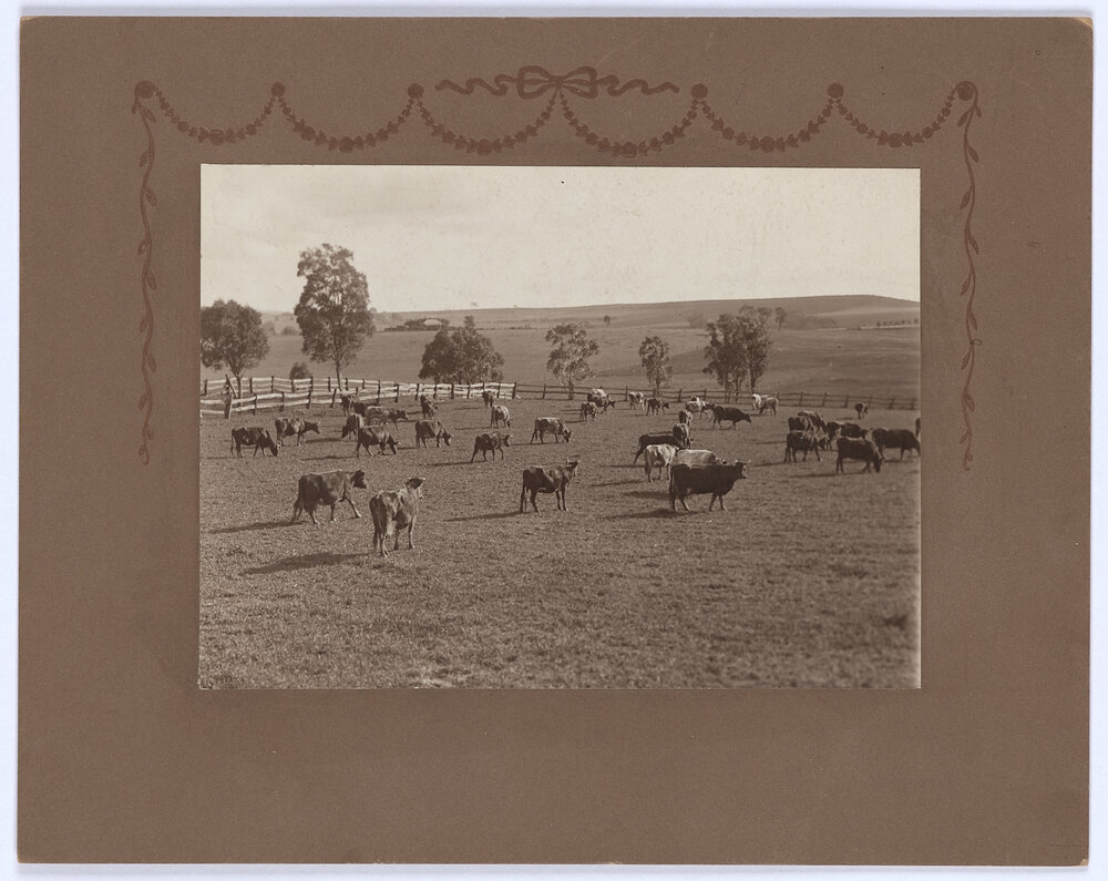 Rural scene