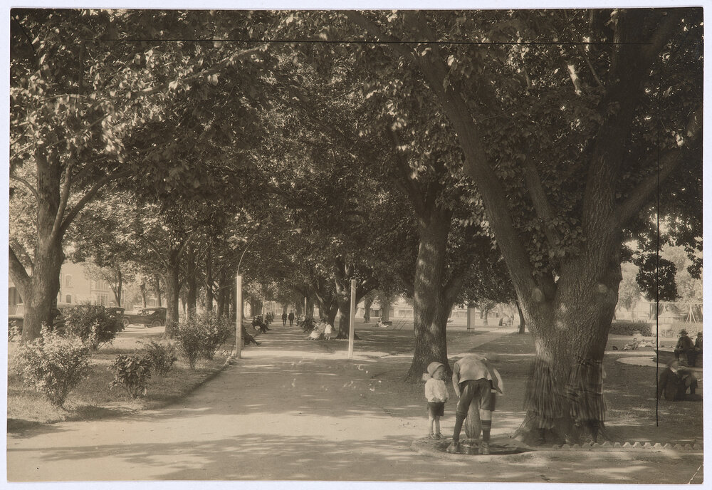 Robertson Park, Orange