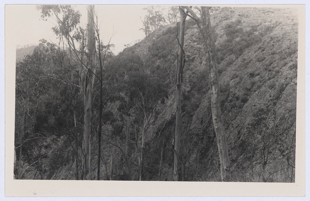 Rock formations around Mount Canobolas Orange
