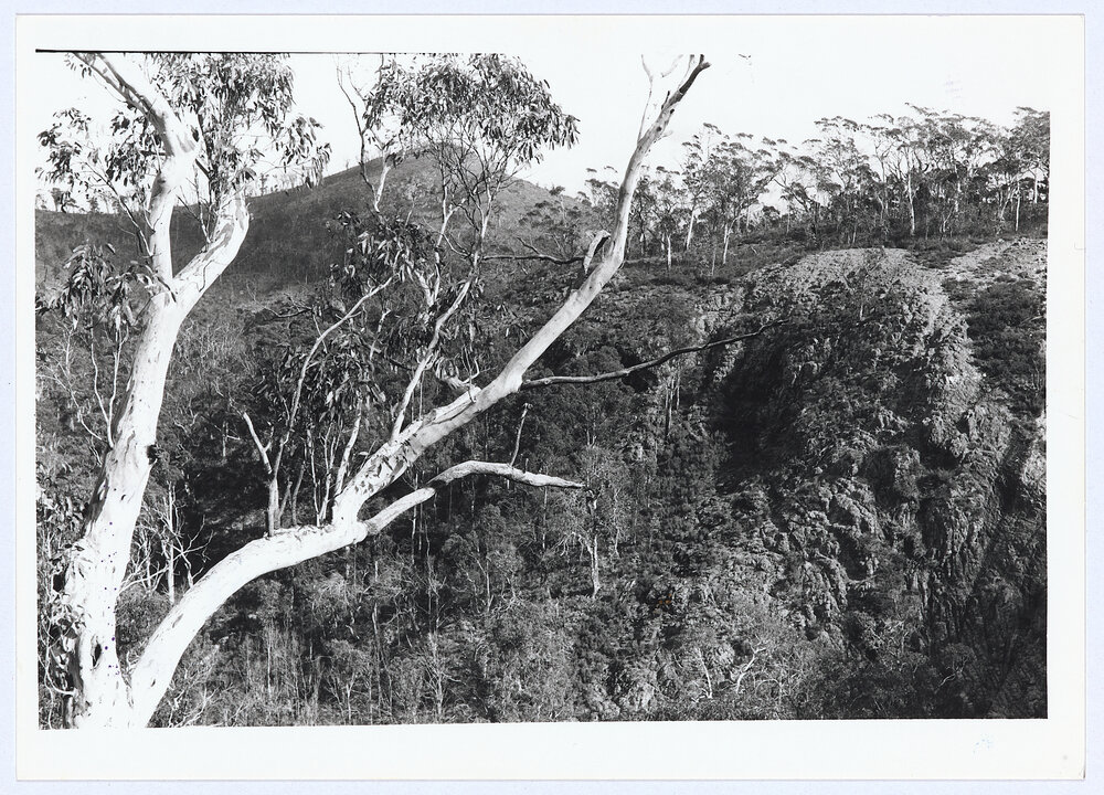 Mount Canobolas