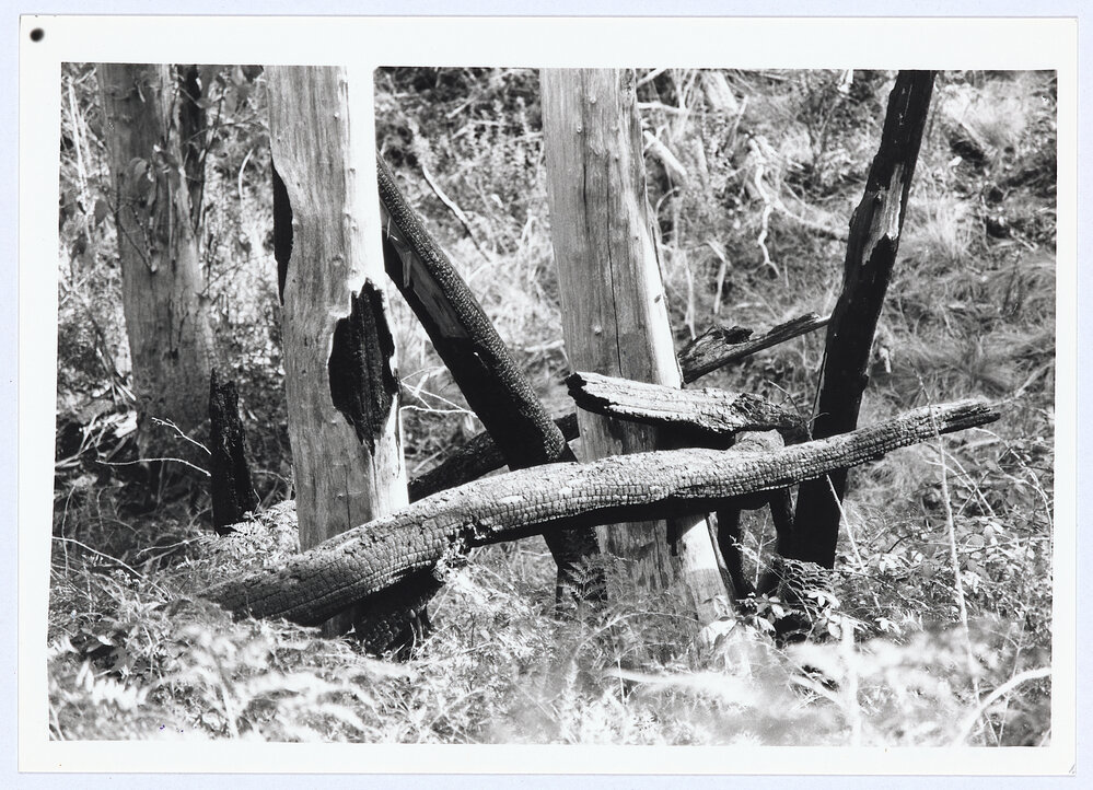 Mount Canobolas