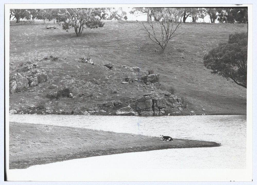 Lake Loopholes Lidster