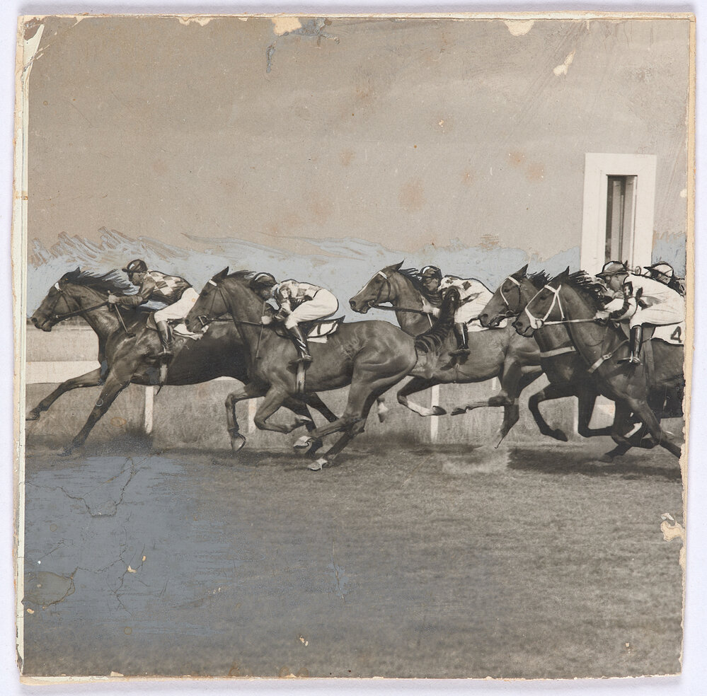 Horse race