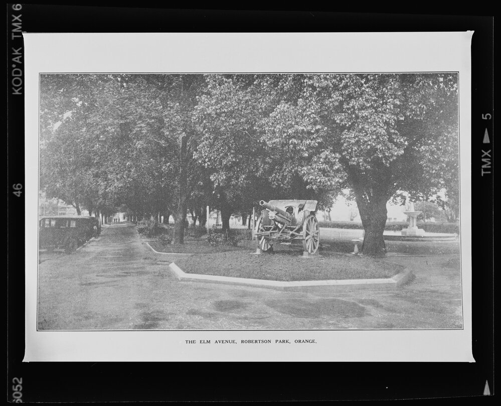 The Elm Avenue, Robertson Park, Orange