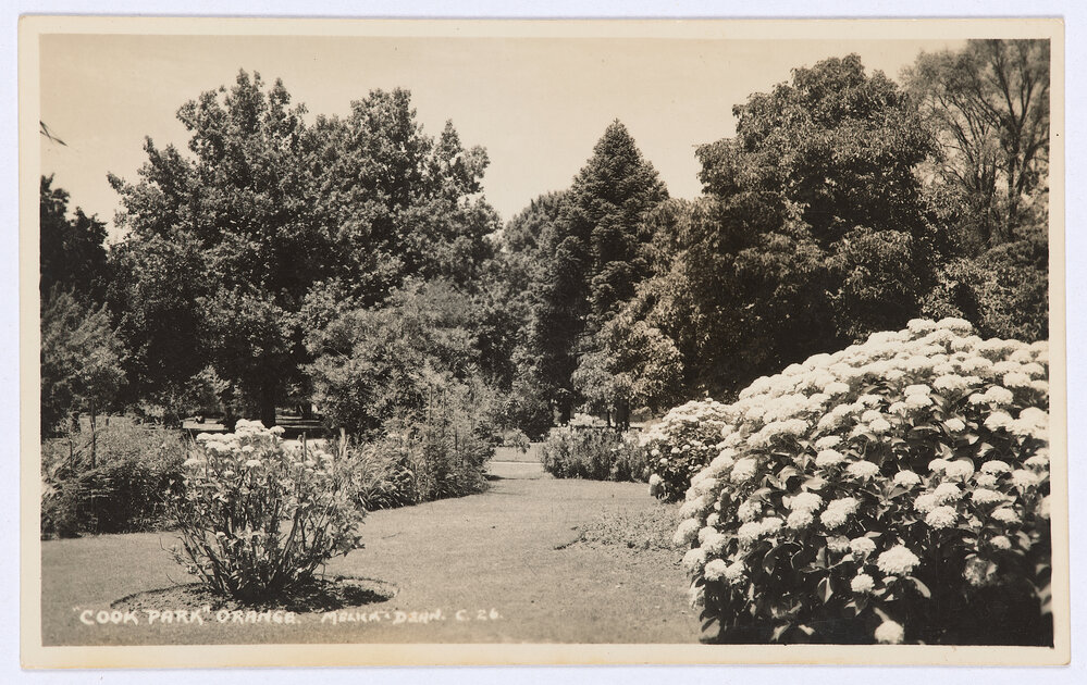 Cook Park, Orange
