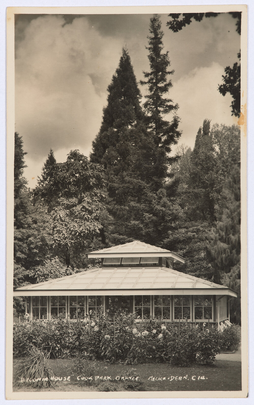 Begonia House, Cook Park, Orange